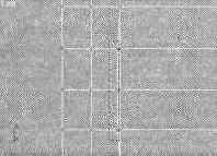 ���������� �������������� � �����