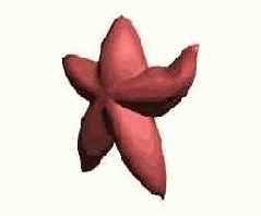 ������� ��������� &laquo;������&raquo;