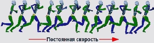 ������� �������� ����