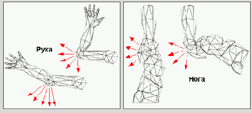 ����� � ������