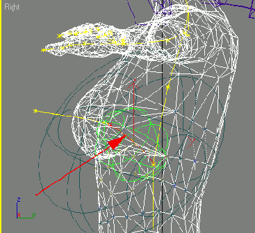 ��������� ����������� �������� ��������