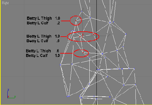 ���� ������� ��������