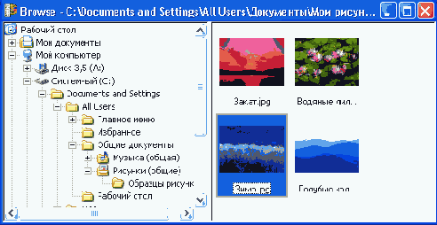 ���� ������ ������ ��������