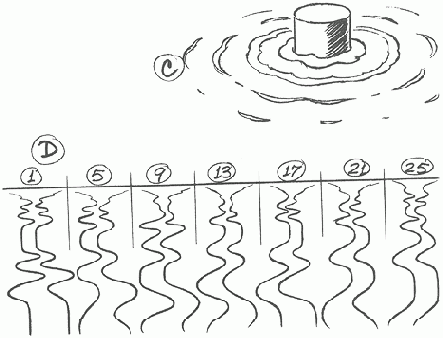 ����������� ��������: ����� � ���