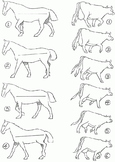 ���������������� ���������� �������� ��� �������� � �����������