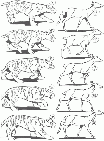 ������ ������������