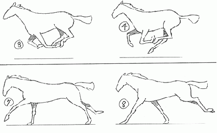 ������ ������������