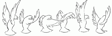 ������ ������������