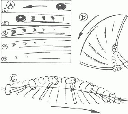 ������ ������������