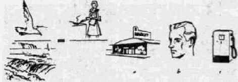 �����������, ���������� ���� � ����������