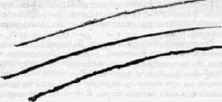 ������ �����, ����� �����