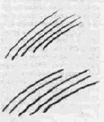 ������ �����, ����� �����