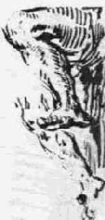 ������ �����, ����� �����