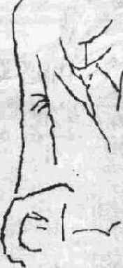 ������ �����, ����� �����