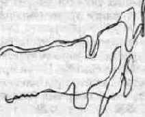 �������, ��������� � �������