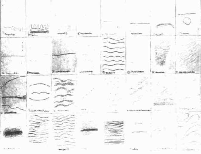 �������� �������