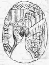 ����� ��������