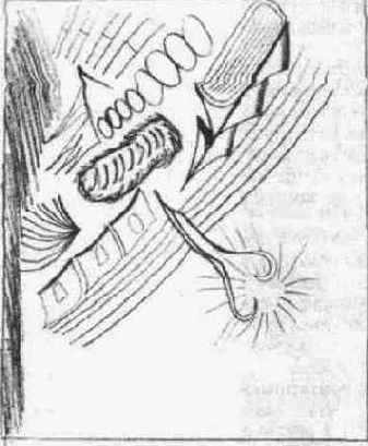 �������� - ��� �������, �� �� ���������