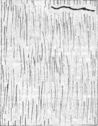 �������� - ��� �������, �� �� ���������