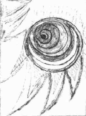 �������� - ��� �������, �� �� ���������