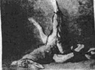 ������� ����, ���� ���