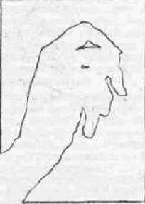 ������ ��������� ��������.