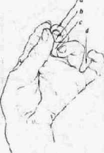 ���������� �����