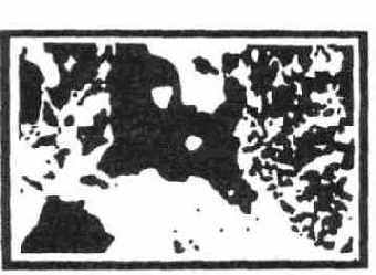 ����� ����� � ����