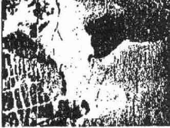 ����� ����� � ����