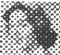 ������������ ����