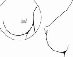 ���� > ������� ����� (����� 1)