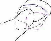 ���� > ���� (����� 1)