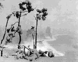 ������ ������ ���� � �������������