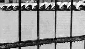 ������ ������ ���� � �������������