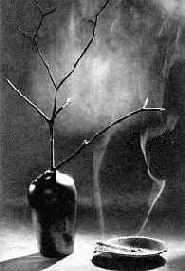 ������ ����� � ��������� ���������� ��������� ���������