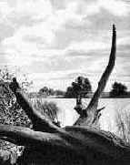 ������ ������ �������������� ����������