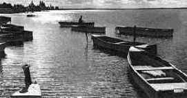 ������ ������� ��������� ������� ������