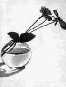 ������ ������� ��������� ������� ������