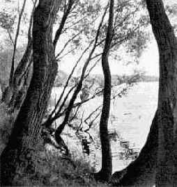 ������ ����������� ������ � ����������