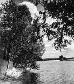 ������ ����������� ������ � ����������