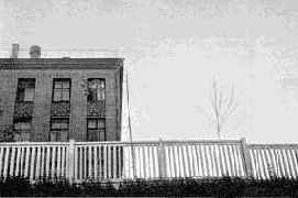 ������ ����������� ������ � ����������