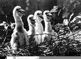 ������ ������������� �������� ������ �� ������ � ��������� ���������������