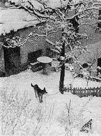 ������ ������������� �������� ������ �� ������ � ��������� ���������������