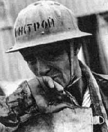 ������ ������������ ������������ ����������