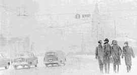 ������ ������������ ������������ ����������