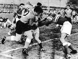 ������ ������������ ������������ ����������