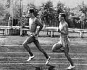 ������ ������������ ������������ ����������