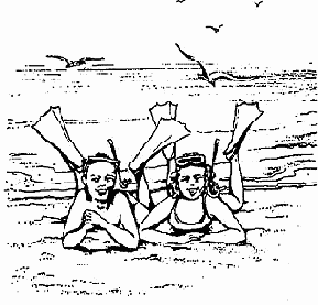 ������� ������ �� ������� ����������