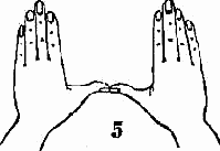 �������� ����������