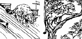 �������� ����������